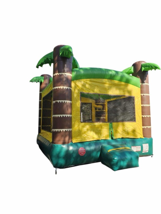 Tropical Bounce