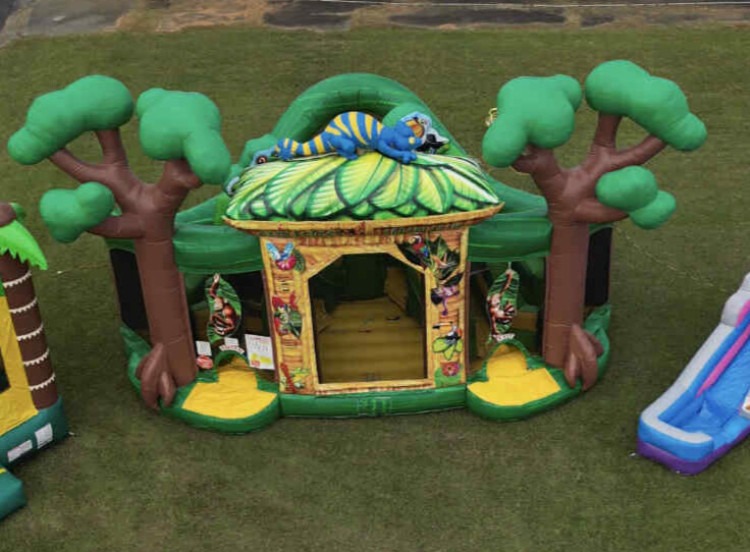 Rainforest Fun Center Combo