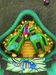 download20 20Edited 1758522775 Rainforest Fun Center Combo